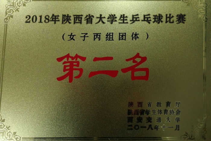 1542188370467325.jpg 乒乓球比赛_副本.jpg