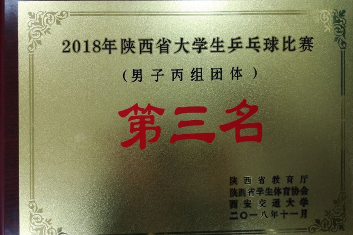 1542188379695996.jpg 乒乓球比赛 (2)_副本.jpg