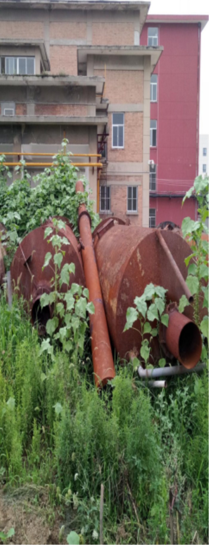 1536653333858139.jpg 图片4_副本.jpg