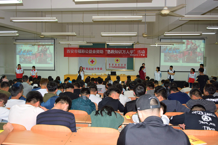 1523611206356647.jpg DSC_0081_2222.jpg