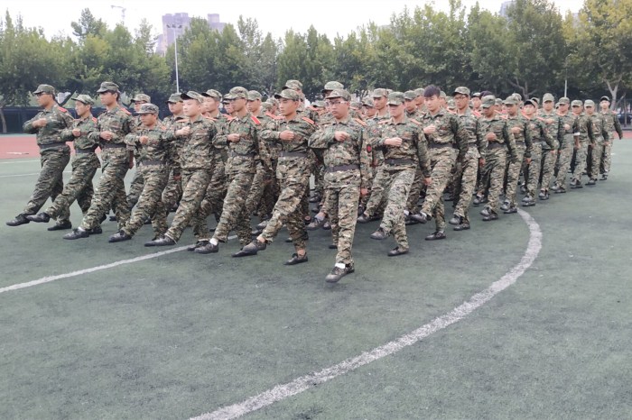 1536724282716995.jpg 图片2_副本.jpg