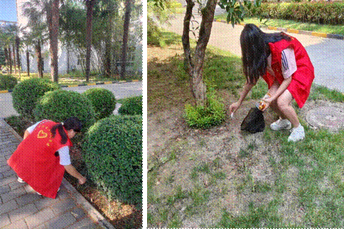 图片包含 草, 户外, 人, 年轻描述已自动生成 图片包含 草, 户外, 人, 年轻描述已自动生成