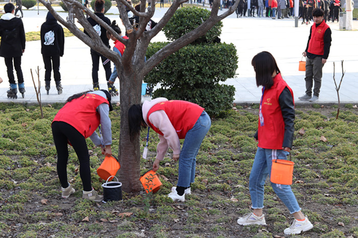 1552481452655847.jpg 3.jpg