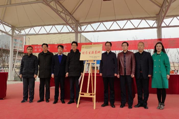 1552471161976348.jpg 2.jpg